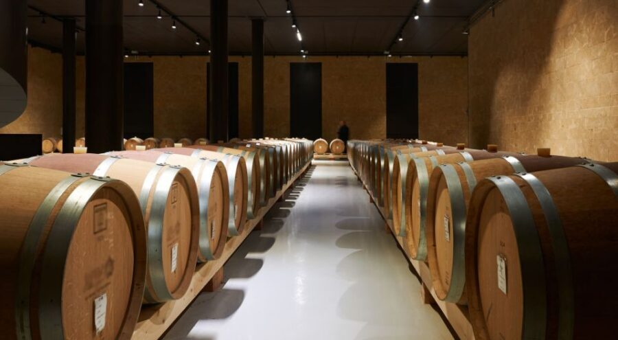 2-hours Amarone Wine Tour with Sommelier Wine Tastings - Two Hours in Verona’s Amarone Country: What the Tour Covers
