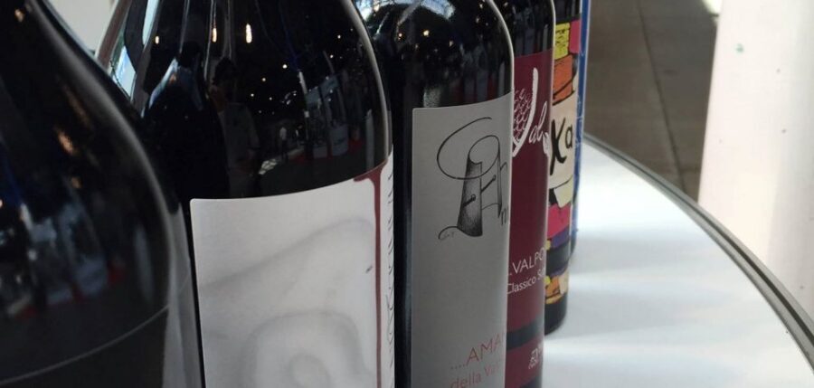 2-hours Amarone Wine Tour with Sommelier Wine Tastings - What You Really Get for $113.29: Value in a Short Window