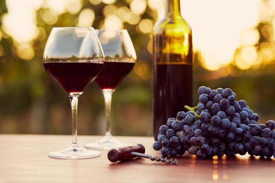 2-hours Amarone Wine Tour with Sommelier Wine Tastings - Entering the Modern Winery: Innovation You Can Actually See