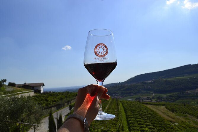 6 Wine Tasting in Valpolicella Classica: the cradle of Amarone - Barrique cellar time: where refinement becomes flavor