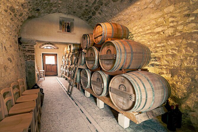 6 Wine Tasting in Valpolicella Classica: the cradle of Amarone - Extras, comfort, and who this tour fits best