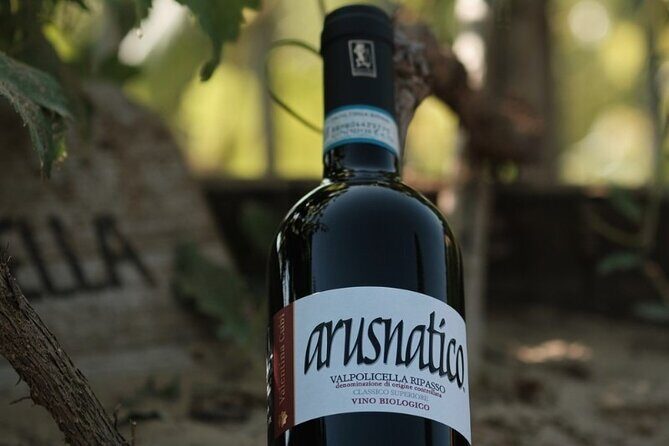 Amarone 2005 Wine Experience - Your 90-minute flow: five organic wines plus Amarone Morar 2005