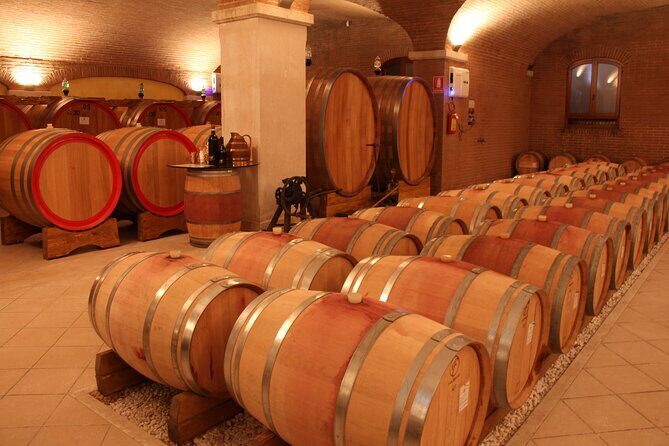 Amarone 2005 Wine Experience - Amarone Morar 2005: how this tasting reframes the classic style