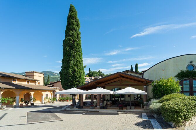 Amarone 2005 Wine Experience - The cellar visit: what you see matters more than you think