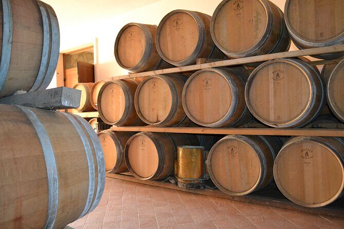 Amarone Della Valpolicella Wine Experience - Meet the Vogadori Family - Verona’s tourist detour: why Negrar di Valpolicella is the move