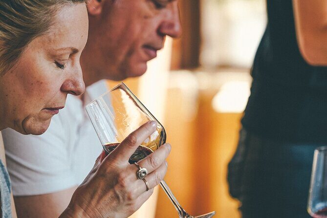 Amarone Wine-tasting Tour from Verona with Private Transportation - Key takeaways before you go