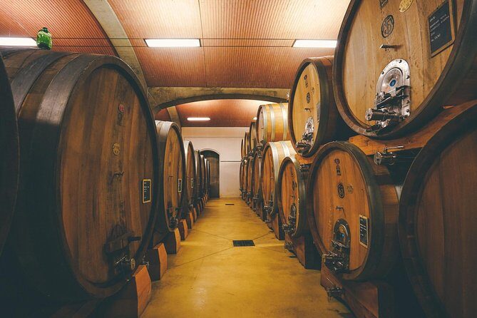 Amarone Wine-tasting Tour from Verona with Private Transportation - Comfort and pace: what 4 hours really means