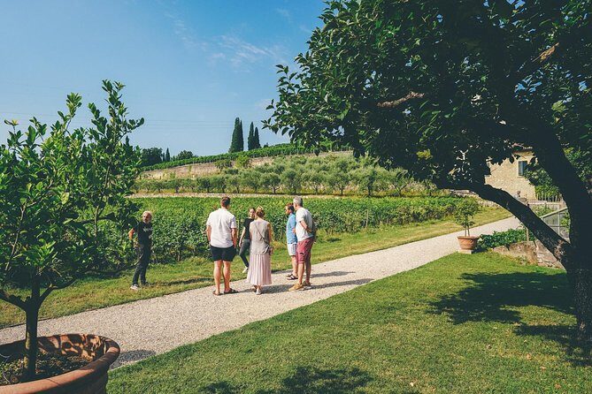 Amarone Wine-tasting Tour from Verona with Private Transportation - Price value: is $151.23 a fair deal?