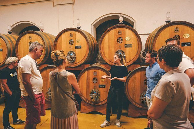 Amarone Wine-tasting Tour from Verona with Private Transportation - Two winery visits: how the tastings get you thinking