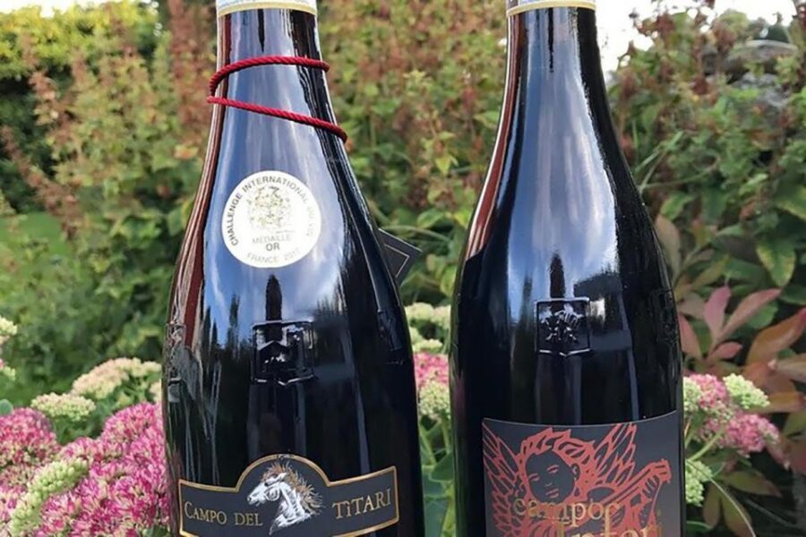 Amarone Wine Tasting Tour. Visit Verona. From Venice - How This Amarone and Valpolicella Tour Works (From Venice to Verona)