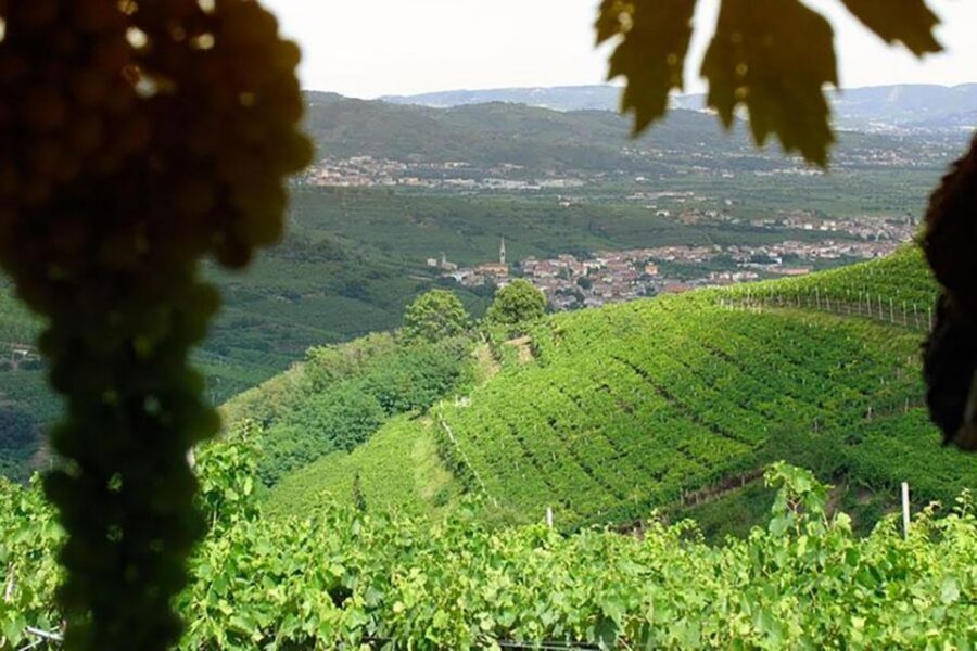 Amarone Wine Tasting Tour. Visit Verona. From Venice - Duration, Group Style, and Why Private Feels Different