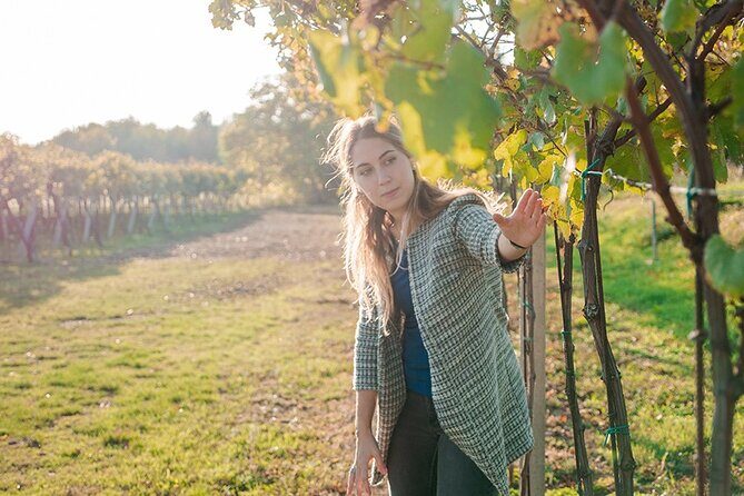 Amarone Wine Tour - Key highlights worth your attention
