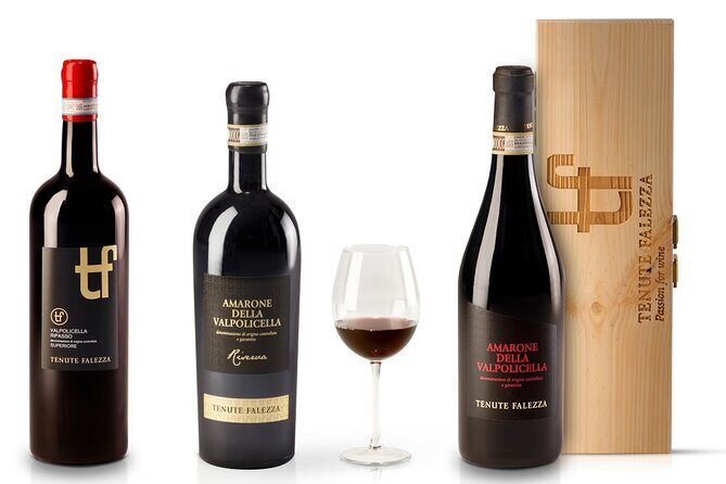 Amarone Wine Tour - From Valpolicella vines to fruit cellar and barriques
