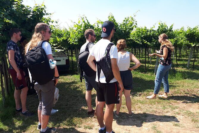 Amarone Wine Tour - Who should book this Amarone Wine Tour?