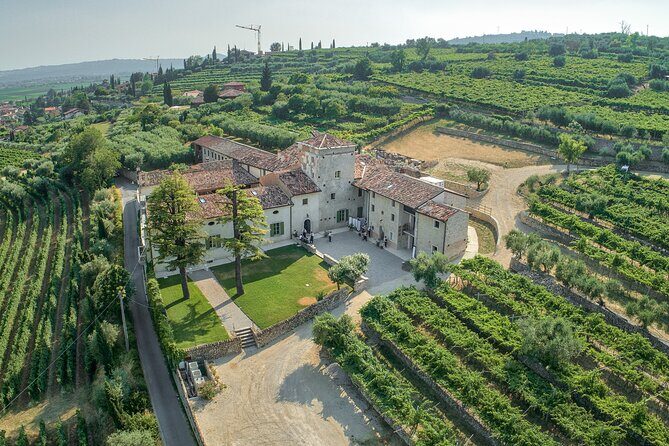 Art & Wine Experience in Valpolicella at Palazzo Montanari - Key highlights you should care about