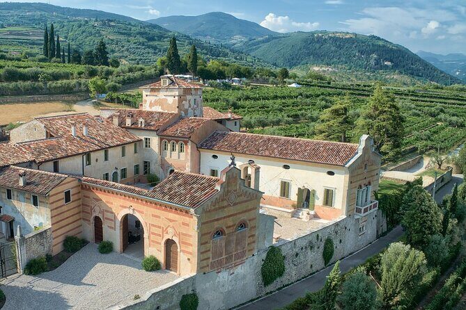 Art & Wine Experience in Valpolicella at Palazzo Montanari - Your Four Red Wines: Classico to Ripasso to Amarone to Recioto