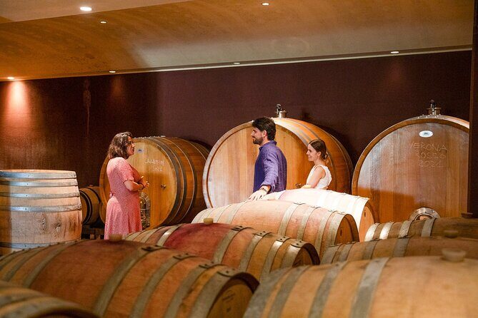 Bardolino Wine Experience - Bardolino and Lake Garda: a short route that keeps the day light