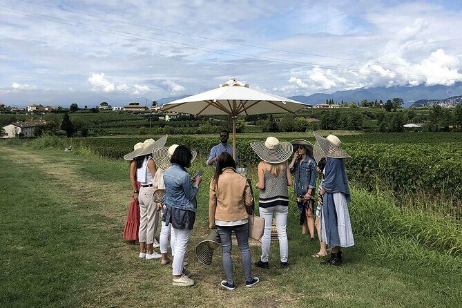 Bardolino Wine Experience - Who this tour suits best (and who might want something else)