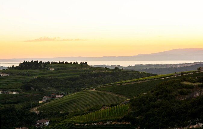 Bike Station Valpolicella: E-bike tour & Amarone Tasting - Key highlights if you want the real Valpolicella feeling