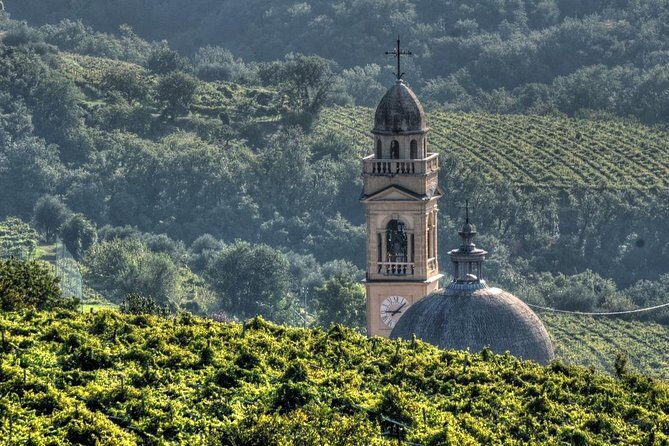 Bike Station Valpolicella: E-bike tour & Amarone Tasting - The e-bike ride itself: electric help, but expect a real bike day