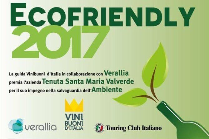 Bike Station Valpolicella: E-bike tour & Amarone Tasting - Winery stop and tasting flow: Valpolicella, Ripasso, and Amarone in one session
