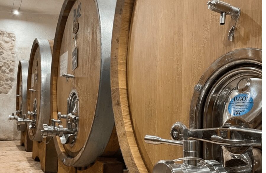 Boutique Winery Tour & Tasting in Valpolicella - Renato Casaro movie poster museum: the summer bonus until July