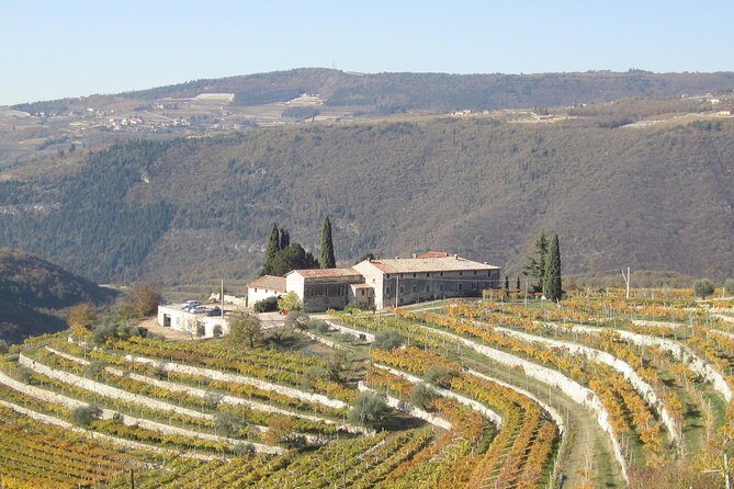 Champagne Experience at a Boutique Winery - The pairing bites that make the tasting click
