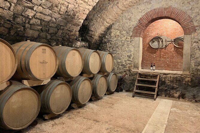 Champagne Experience at a Boutique Winery - Your Champagne tasting: lounge vs outdoor terrace