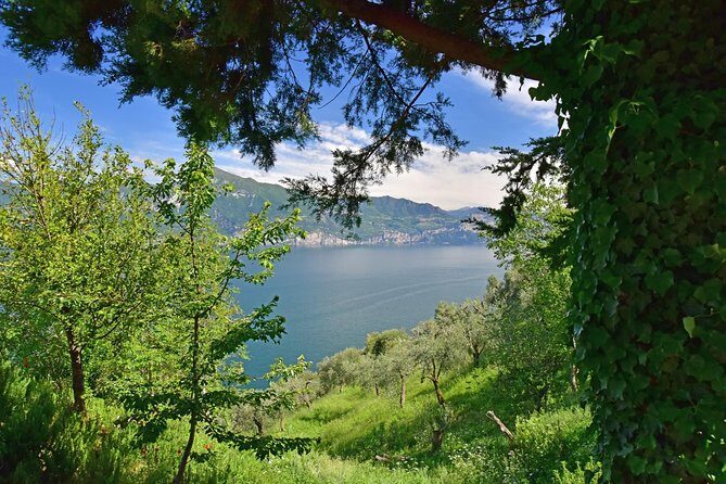City Escape: Lake Garda Private Day Trip from Verona - Padenghe’s route to an underground winery in Pratello