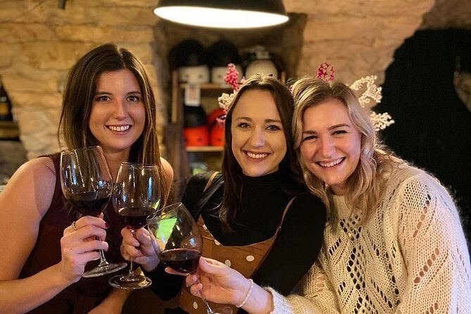 Discover Valpolicella Vineyards and Wine Tasting Experience - The Terrace View: Where Your Pictures Actually Make Sense