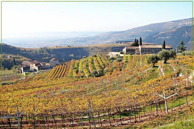 Discover Valpolicella Vineyards and Wine Tasting Experience - Value and Price: Why $84.69 Might Be a Bargain (or Not)