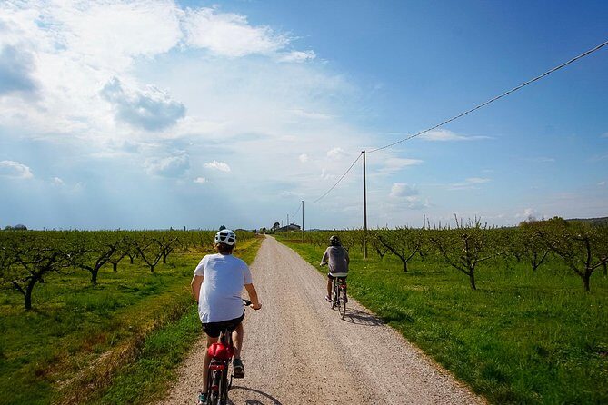 E-bike adventure among medieval castles and old villages - Key highlights you’ll feel during the ride