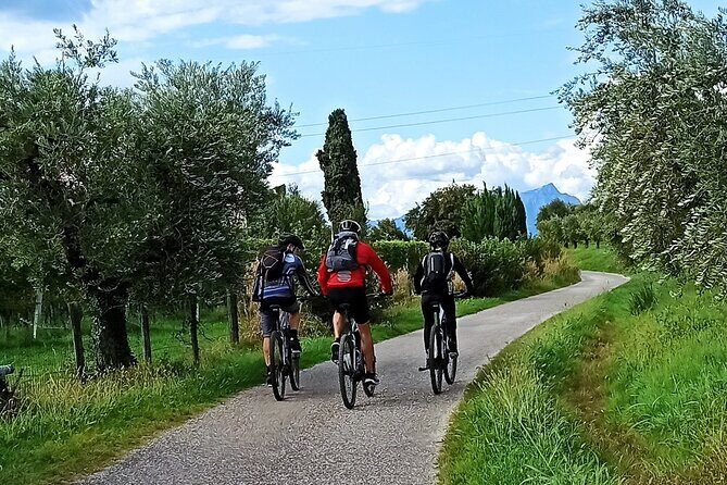 E-Bike Tour and Wine Tasting from Bardolino - Key points I’d circle before booking