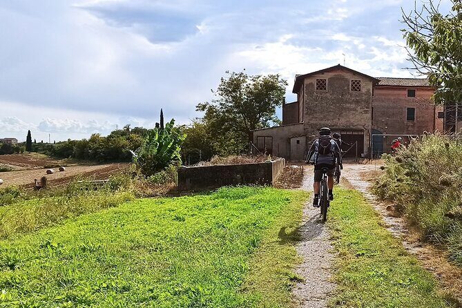 E-Bike Tour and Wine Tasting from Bardolino - What the tasting actually feels like