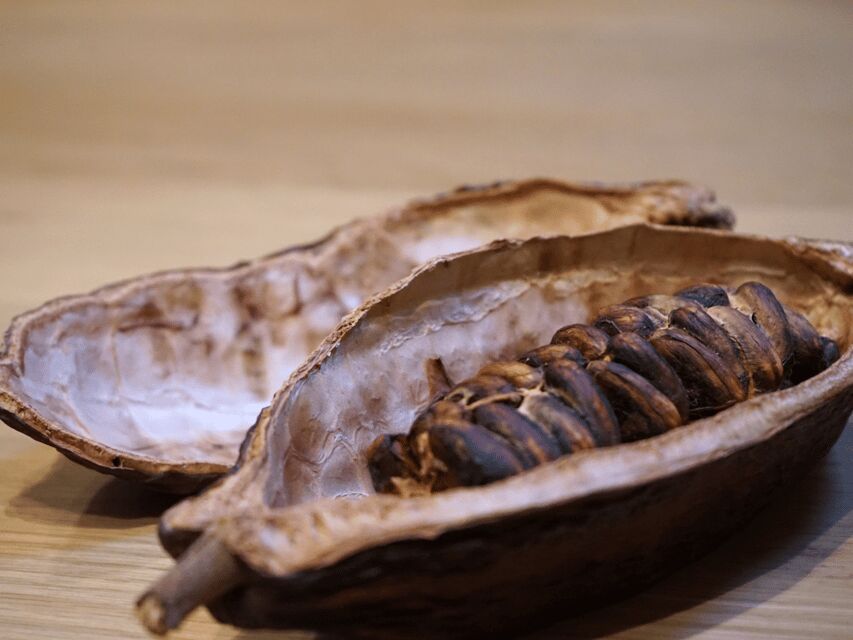 Fine Chocolate Tasting in Turin - Dark, Milk, and White: Your Four-Style Flavor Run