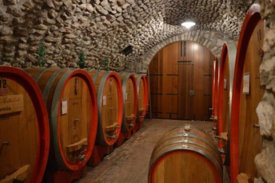 From Verona: Amarone Half-Day Wine Tasting Tour - The tasting flight: Valpolicella, Ripasso, Amarone, Recioto