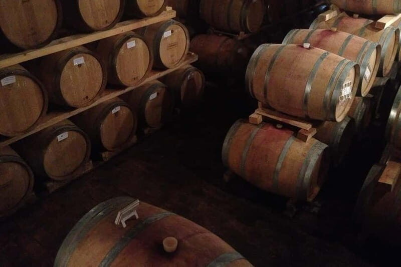 From Verona: Amarone Wine E-Bike Tour with Tasting - The Valpolicella ride: hills, valleys, and why Lake Garda matters