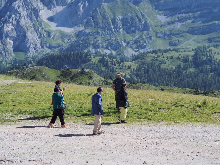 From Verona: Full-day Dolomites Mountains Guided Tour - Tips to make the 11-hour day feel easier