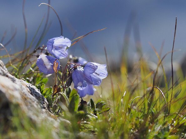 From Verona: Full-day Dolomites Mountains trip - Timing, Weather, and Motion: How to Keep Your Day Smooth
