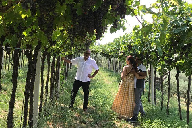 From Verona: Prosecco & Classic method sparkling wine tour, with light lunch - Stop 1 in Colli Berici: Organic Prosecco on a 16th-Century Estate