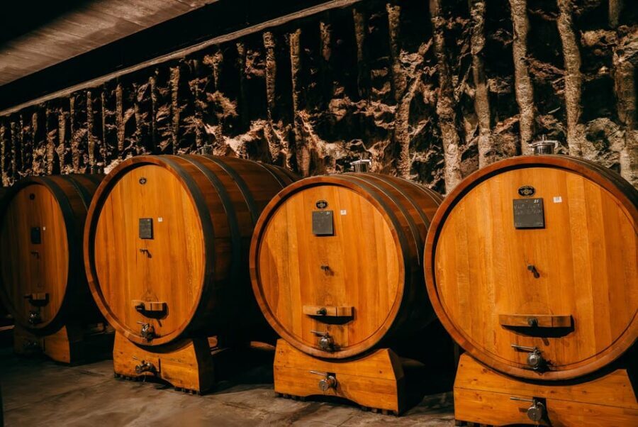 From Verona: Valpolicella and Amarone Wine Tasting Tour - Key highlights at a glance