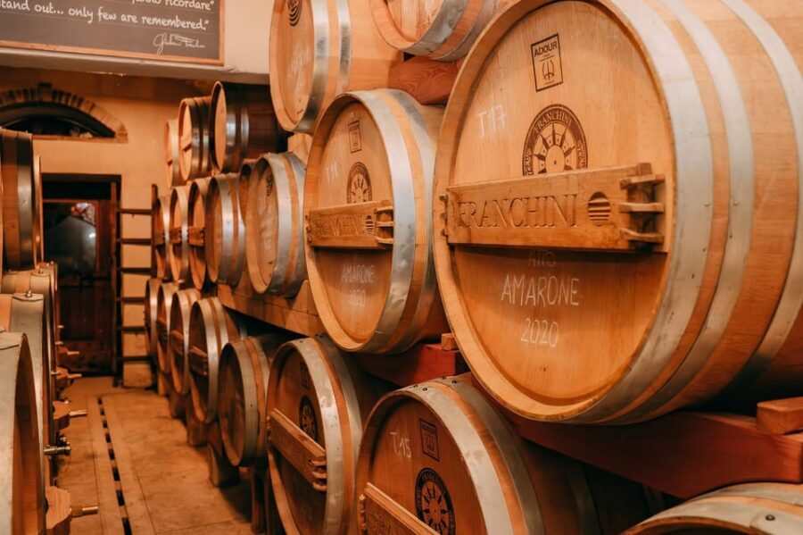 From Verona: Valpolicella and Amarone Wine Tasting Tour - Who this Verona-to-Valpolicella Amarone tour is best for