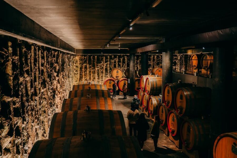 From Verona: Valpolicella and Amarone Wine Tasting Tour - Stop 1: the first Valpolicella cellar visit and tasting table time