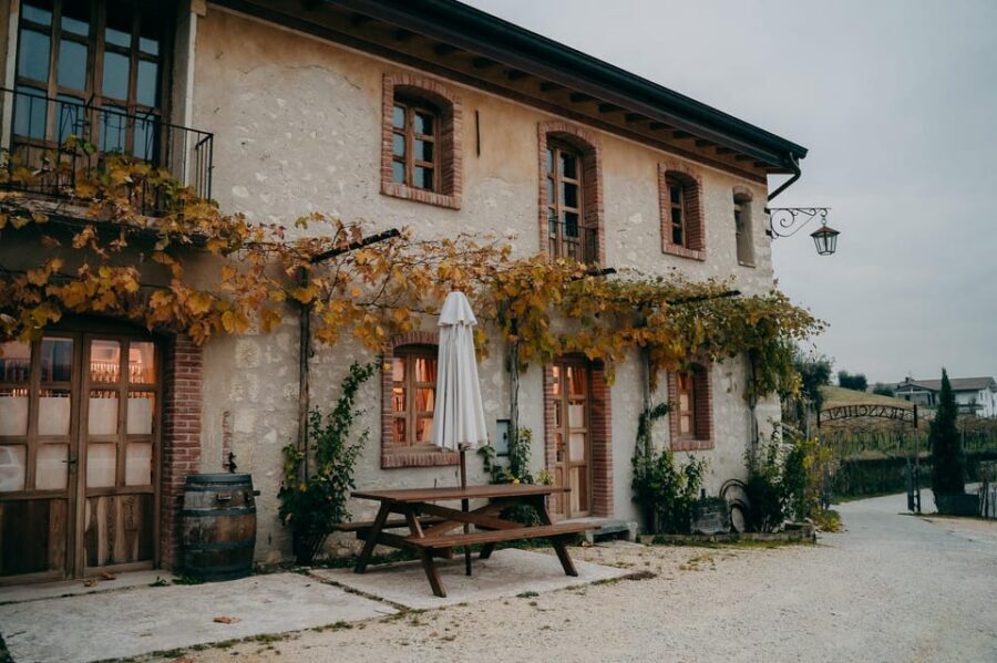 From Verona: Valpolicella and Amarone Wine Tasting Tour - Group size, pacing, and comfort: why it matters on a Verona day