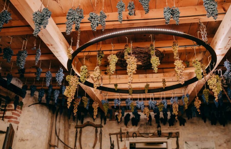 From Verona: Valpolicella and Amarone Wine Tasting Tour - Price and value: is $112.15 per person fair?