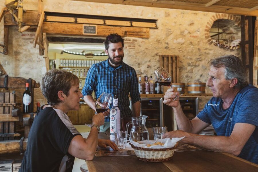 From Verona: Valpolicella Winery Tour with Amarone Vintages - The icehouse aging room: why this stop feels different