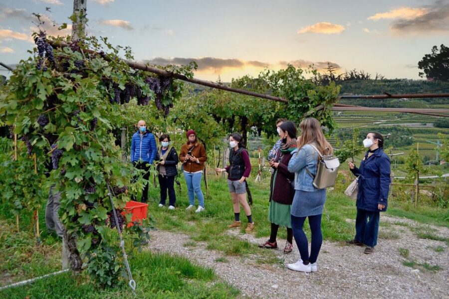 From Verona: Valpolicella Winery Tour with Amarone Vintages - Getting to Franchini Agricola: do this before you arrive