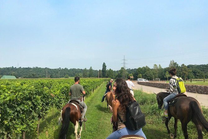 Horseback riding and wine tasting - Key highlights you’ll remember