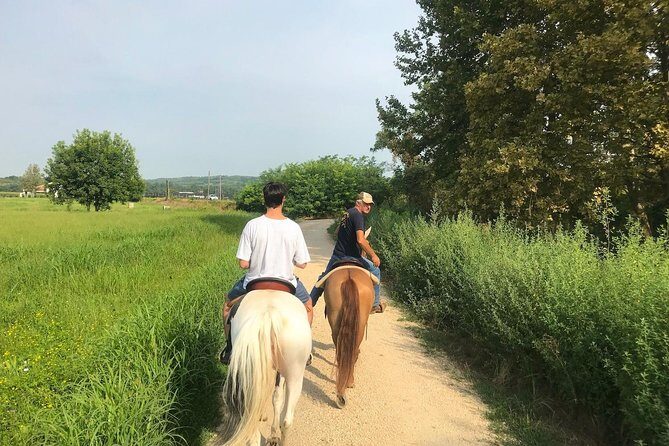 Horseback riding and wine tasting - Horse setup and a short lesson before you ride