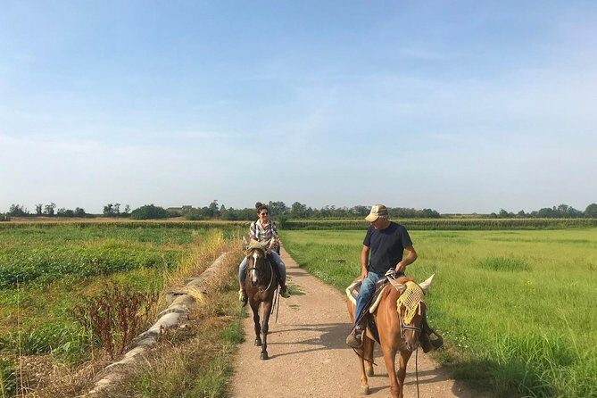 Horseback riding and wine tasting - Private tour value: the pacing is calmer than group rides